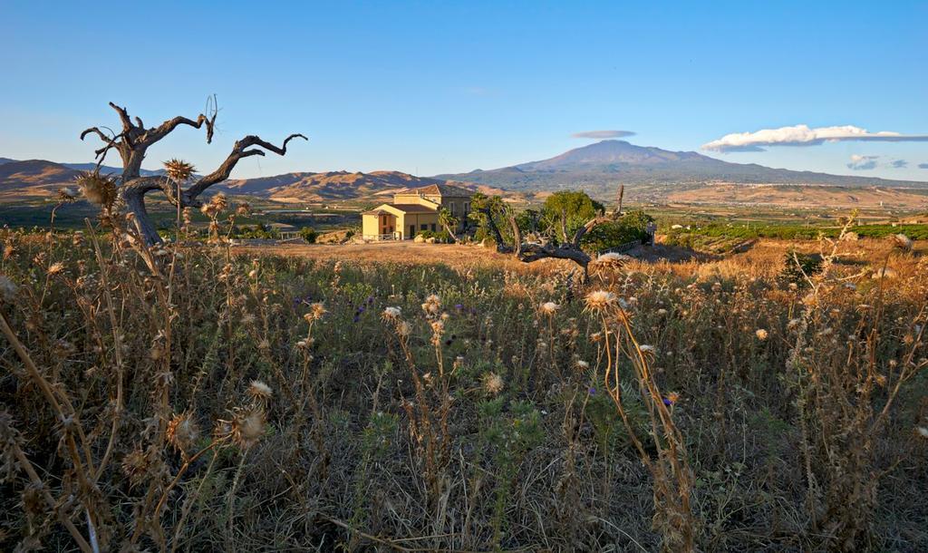 Agriturismo Conte Ruggero Villa Centuripe Eksteriør billede